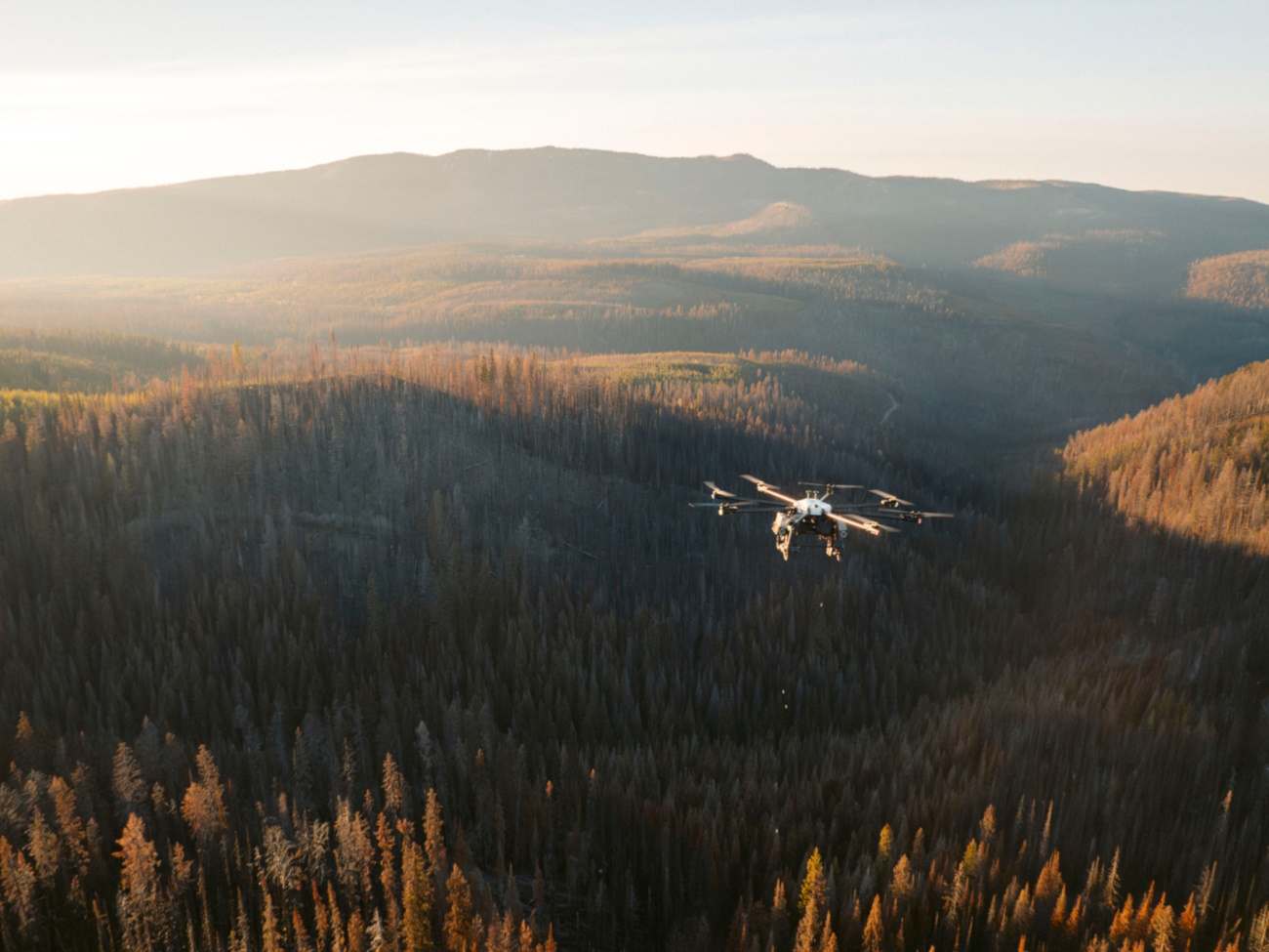 Drone flying over a forest
